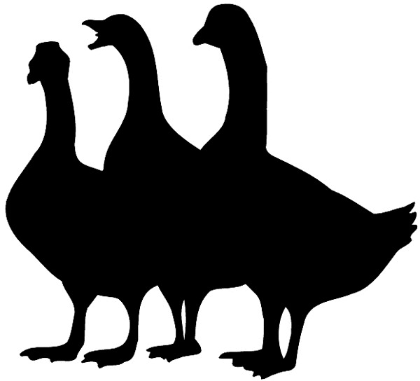 Three standing geese in silhouette vinyl sticker. Customize on line.     Animals Insects Fish 004-0767  
